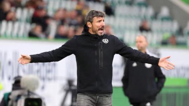 将庆祝的笑 将庆祝的笑